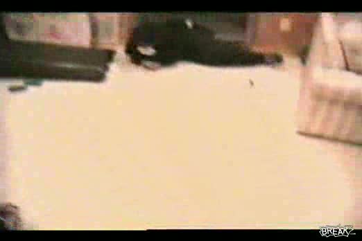Treadmill Faceplant